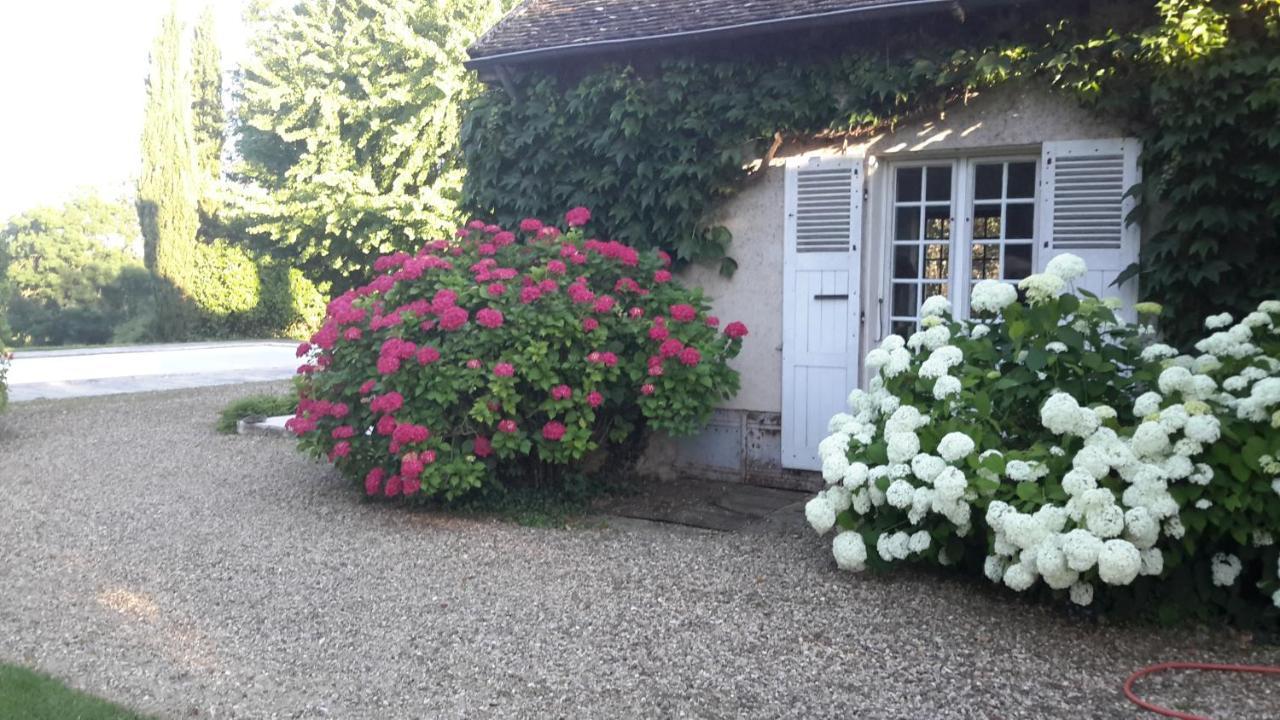Domaine De L'Oiseau Panzió Gergy Kültér fotó